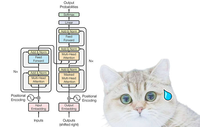 중소형 고양이, 고양잇과, 고양이, 고양이 수염이(가) 표시된 사진

자동 생성된 설명